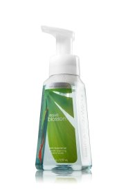 Bath and Body Works Antibacterial Gentle Foaming Hand Soap 8.75 Oz, 2 Pack (Aqua Blossom)