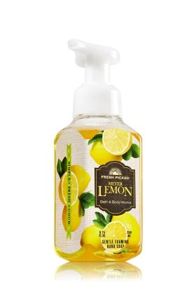 Meyers Lemon Gentle Foaming Hand Soap Bath And Body Works - Fresh Picked