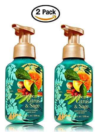 Bath & Body Works Cranberry Citrus and Sage Hand Soap - Pack of 2 Cranberry Citrus Sage Gentle...